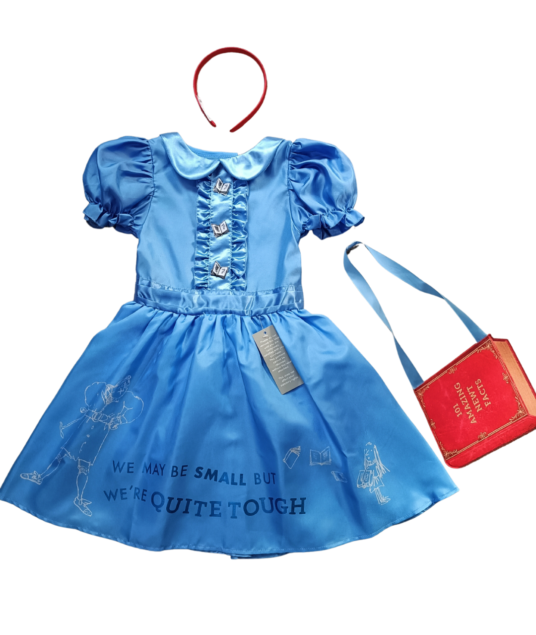Kids Roald Dahl Matilda Fancy Dress Costume – FANTASIA Costume Shop