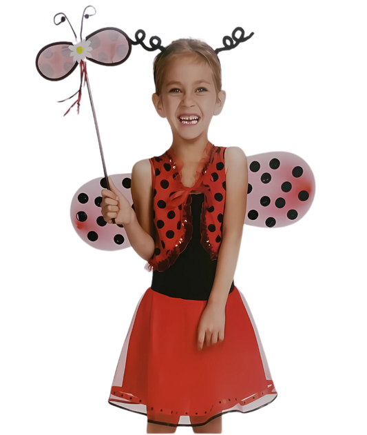 Girls Ladybug Fairy Costume - Kids Ladybird Dress-set in Jordan