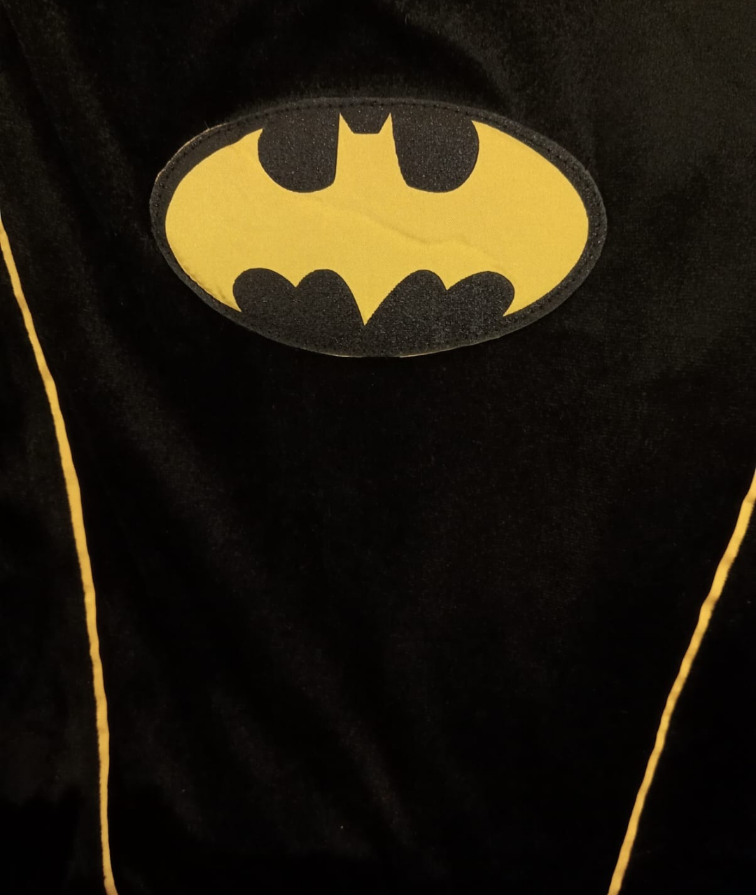 Adult Batwoman Fancy Dress Costume