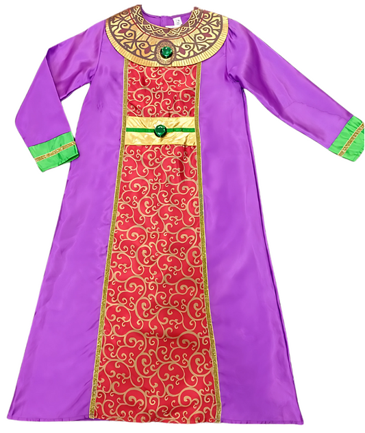 Medieval King Boys Fancy Dress Costume
