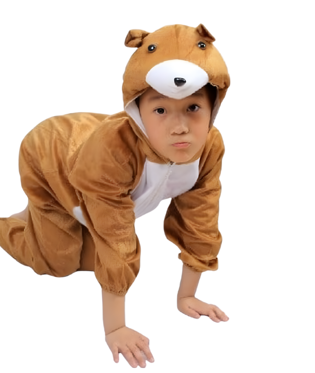 زي الدب للأطفال