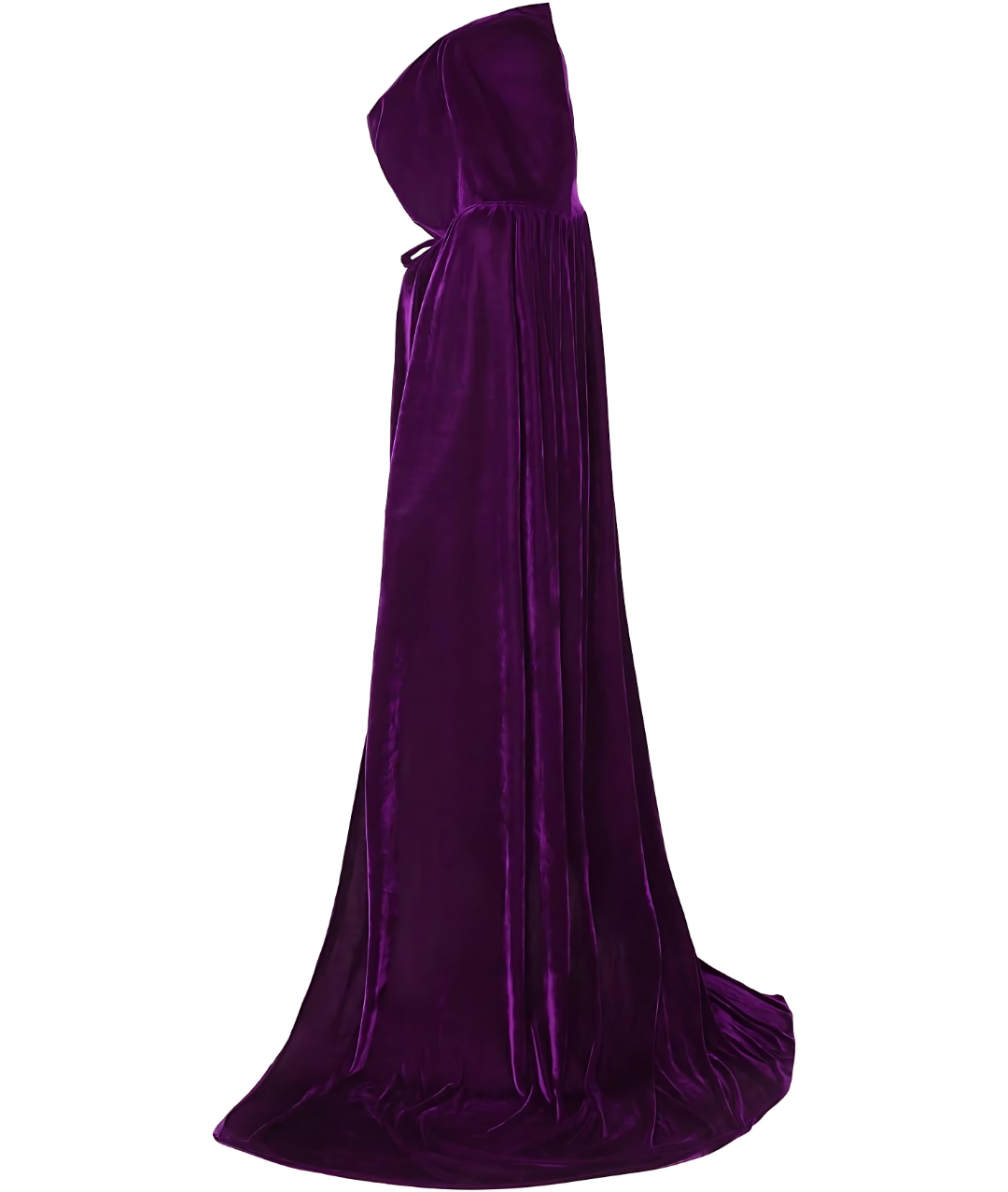 Adult Dark purple Velvet Hooded Robe Costume