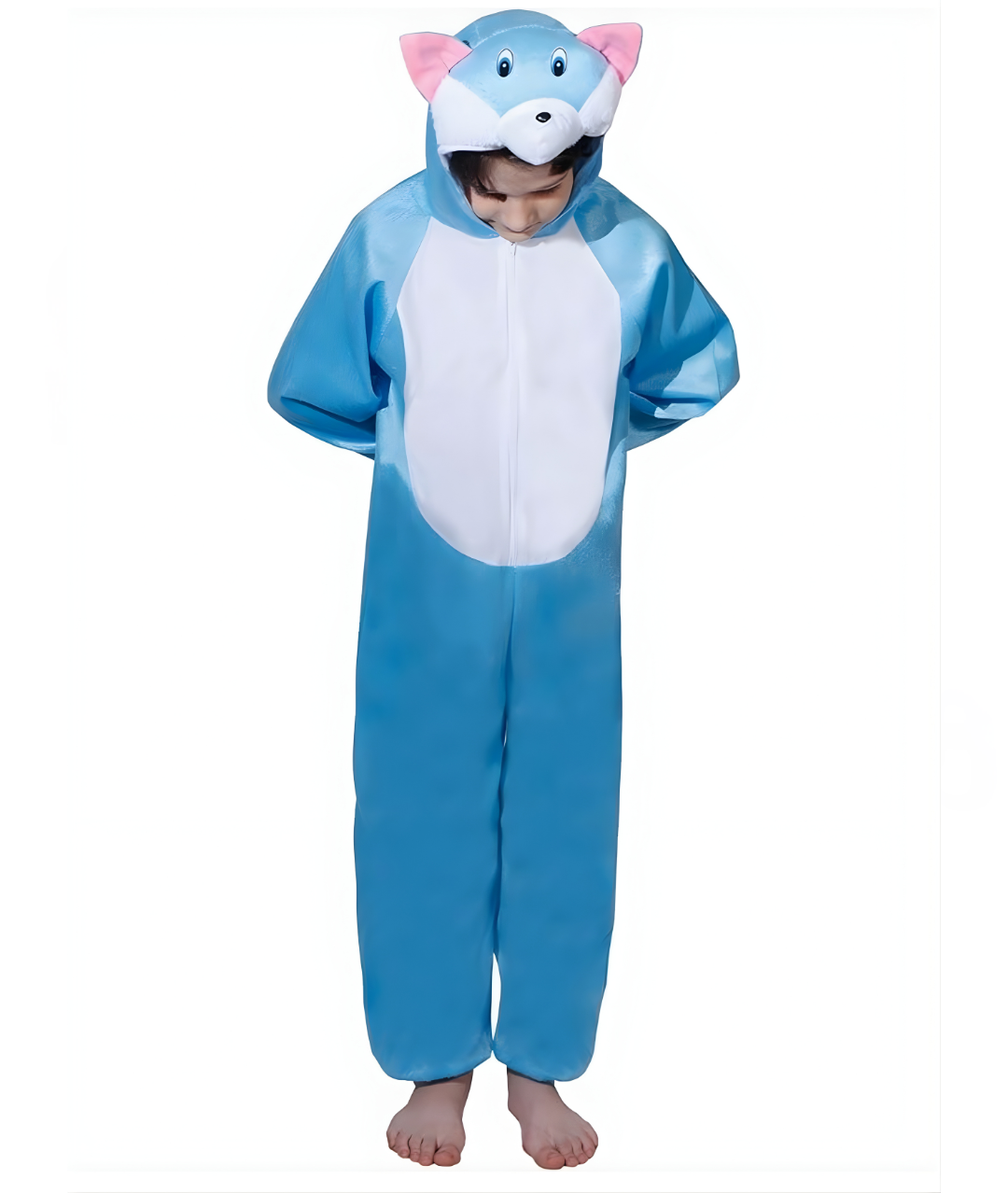 Cat Costume Blue Fancy Dress suit for kids