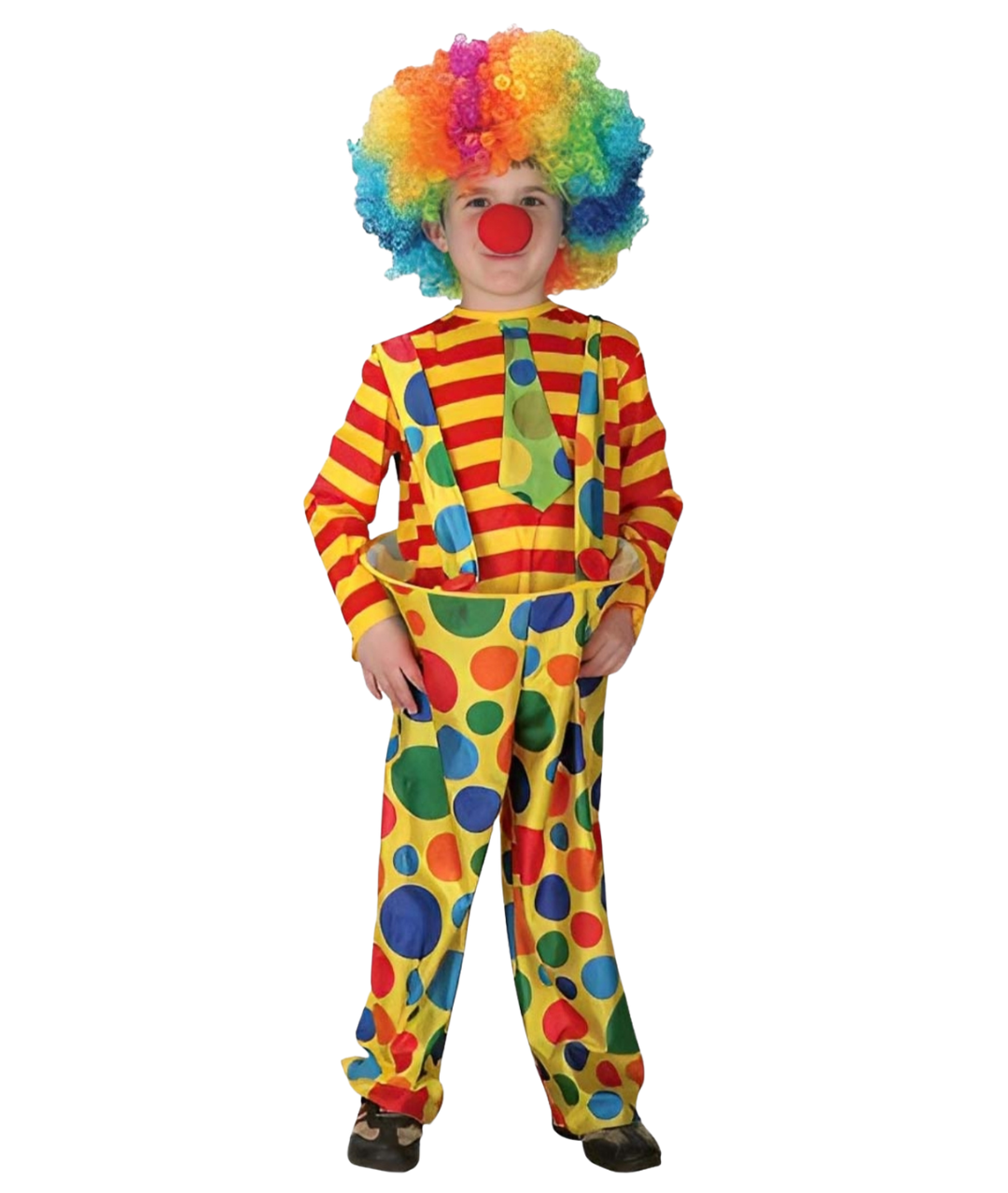 AMUSING Clown with wig