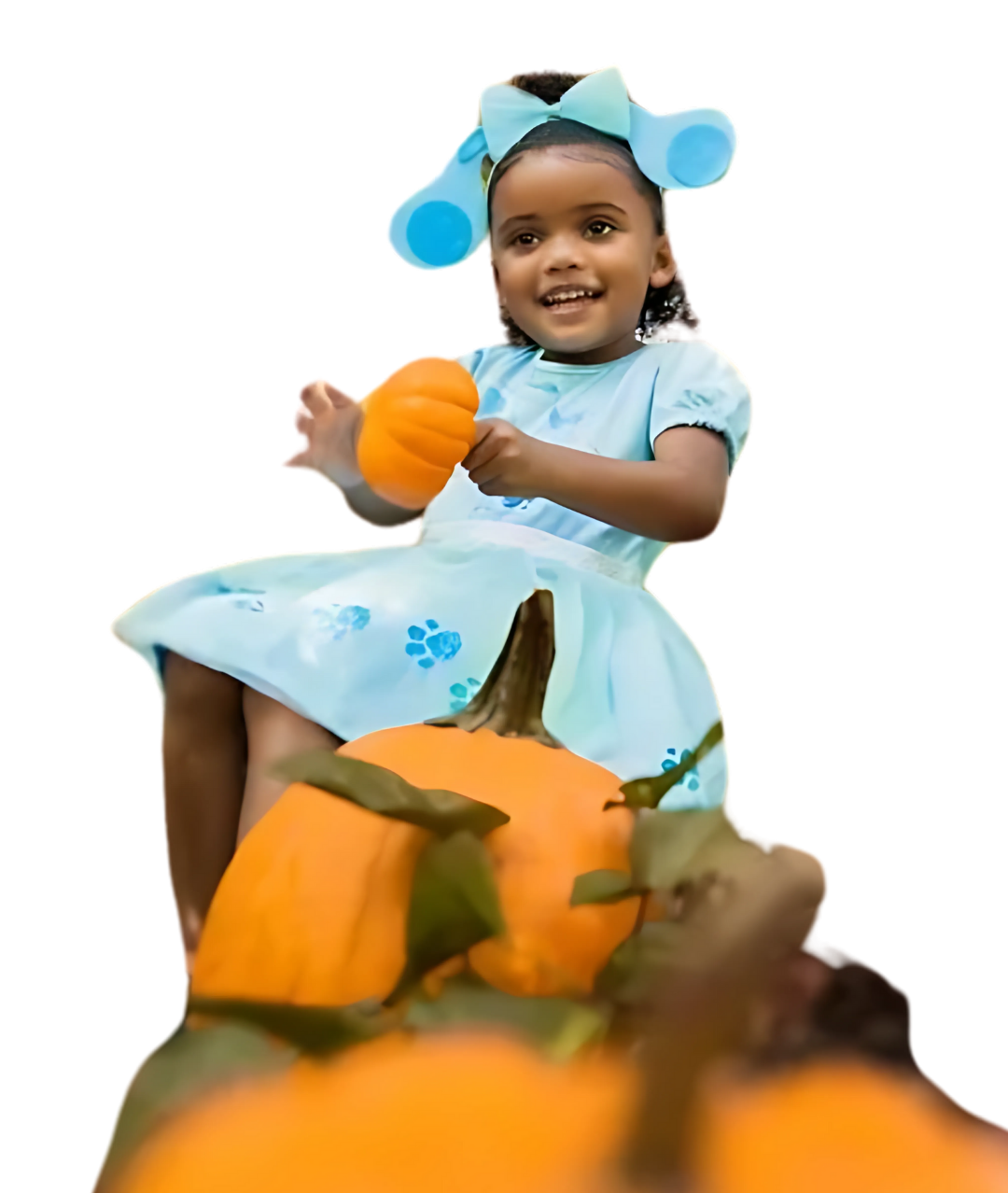 Blue's Clues and You Toddler girl blue dress4