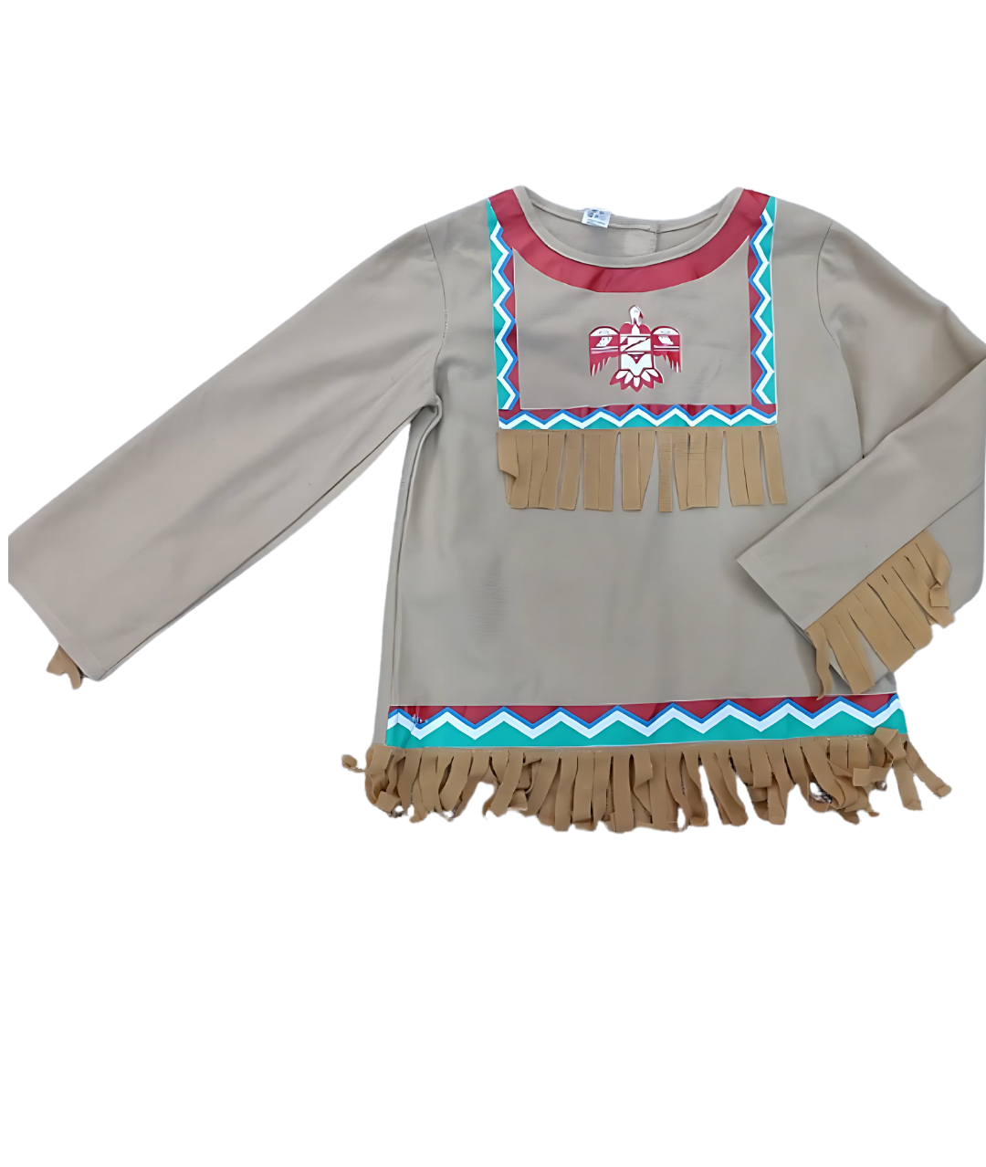 Native American Inspired Girl Costume
