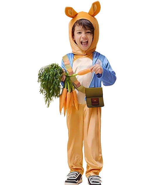 Peter Rabbit Classic Children's Costume
