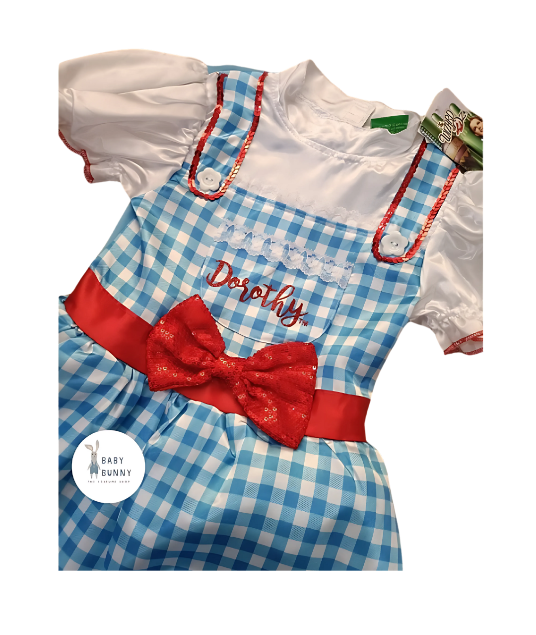 Tu, Dorothy the wizard of oz, Blue Dress, Halloween, bookday at school3
