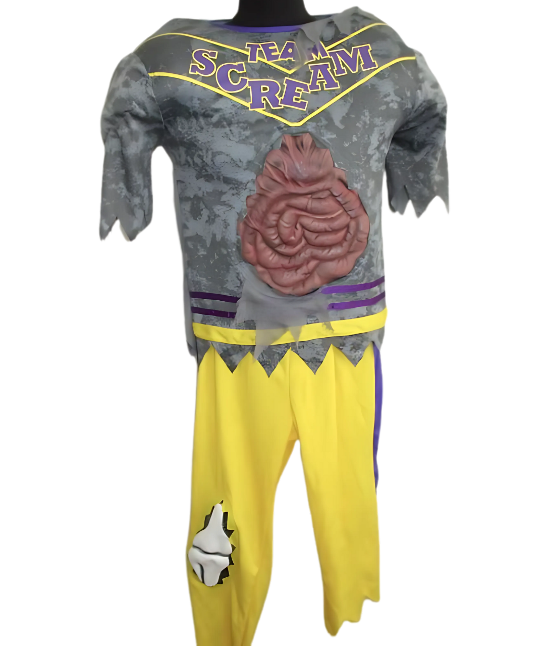 Zombie Football Player American Football Team Halloween Costume
