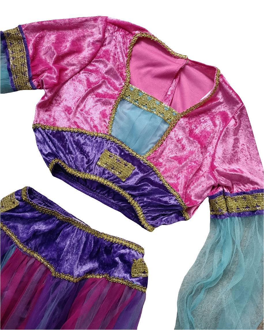 Queen of Sheba Costume, Harem , Princess Jasmine costume set