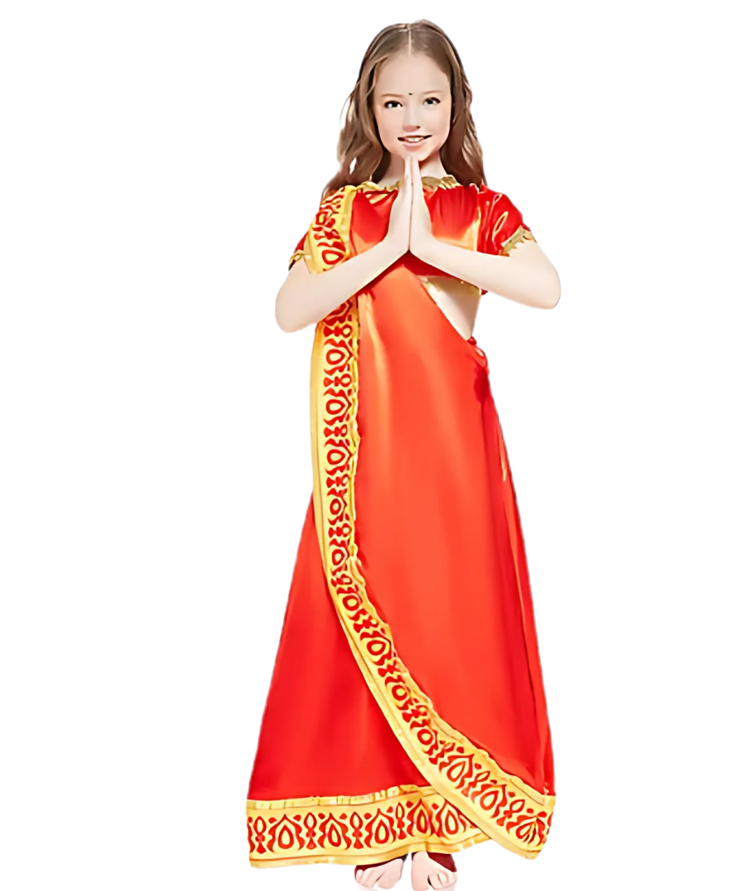 Indian Saree Professional Girls Fancy Dress Costume