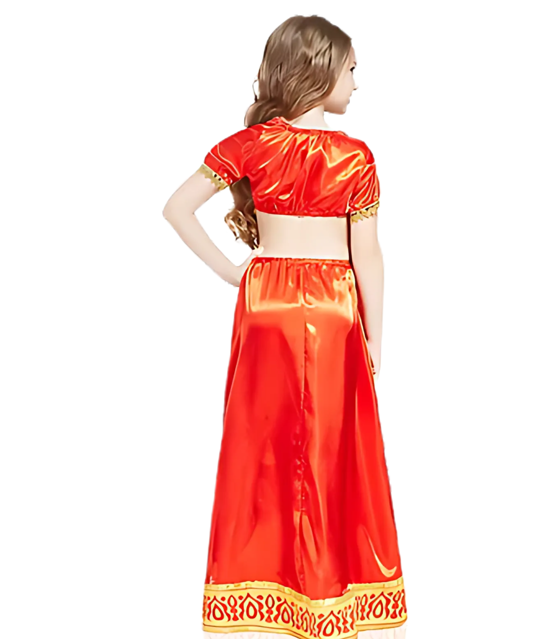 Indian Saree Professional Girls Fancy Dress Costume