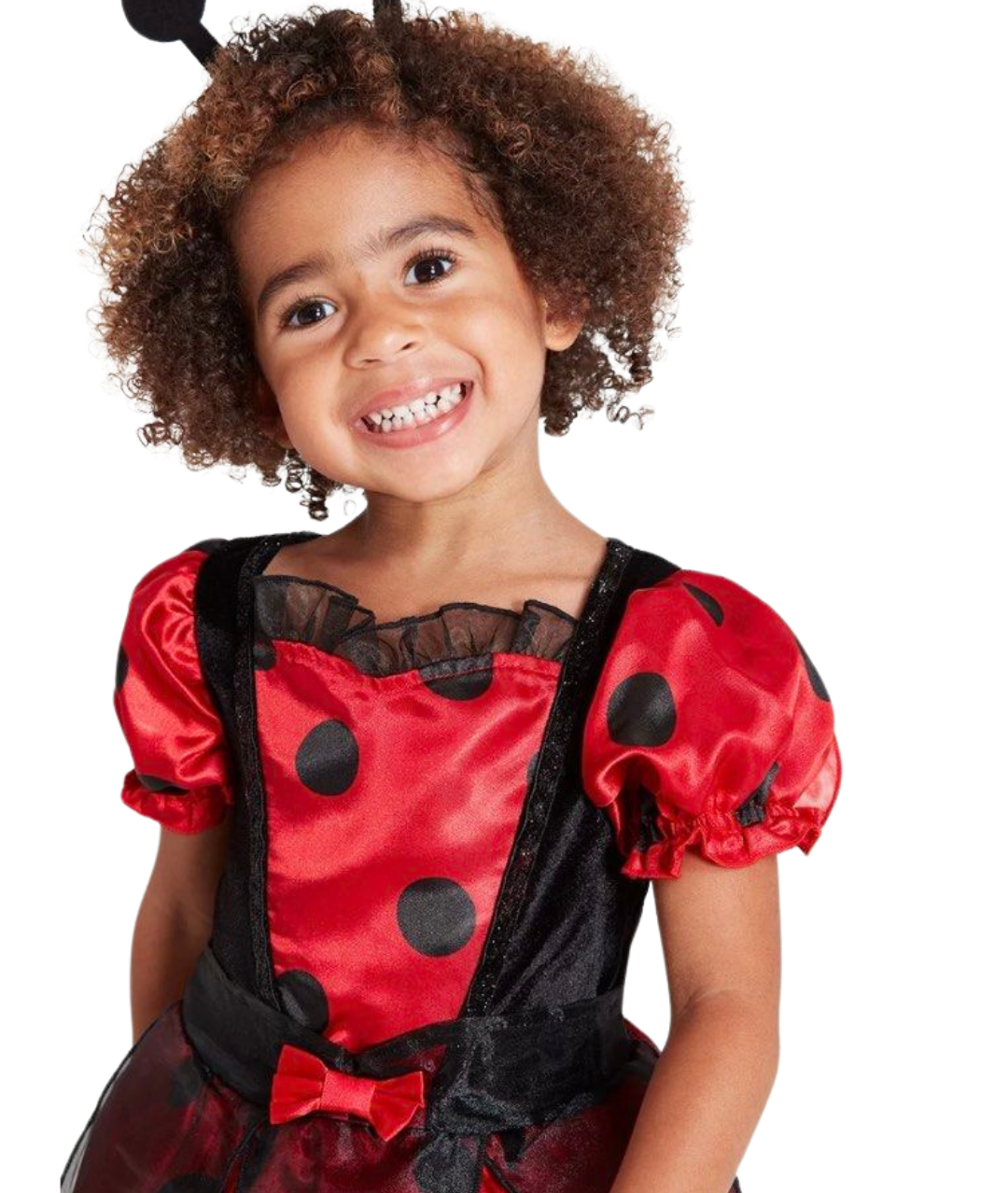 Girls Ladybug Fairy Costume