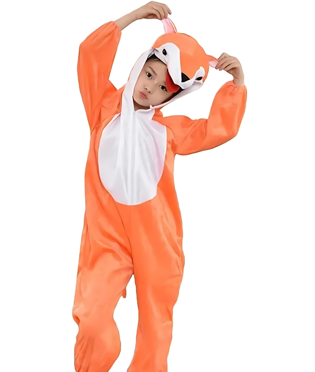 Friendly Fox Boys Girls Animals Costume