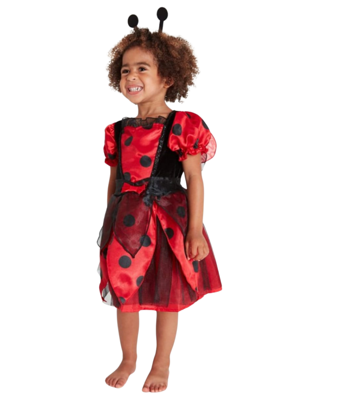 Girls Ladybug Fairy Costume