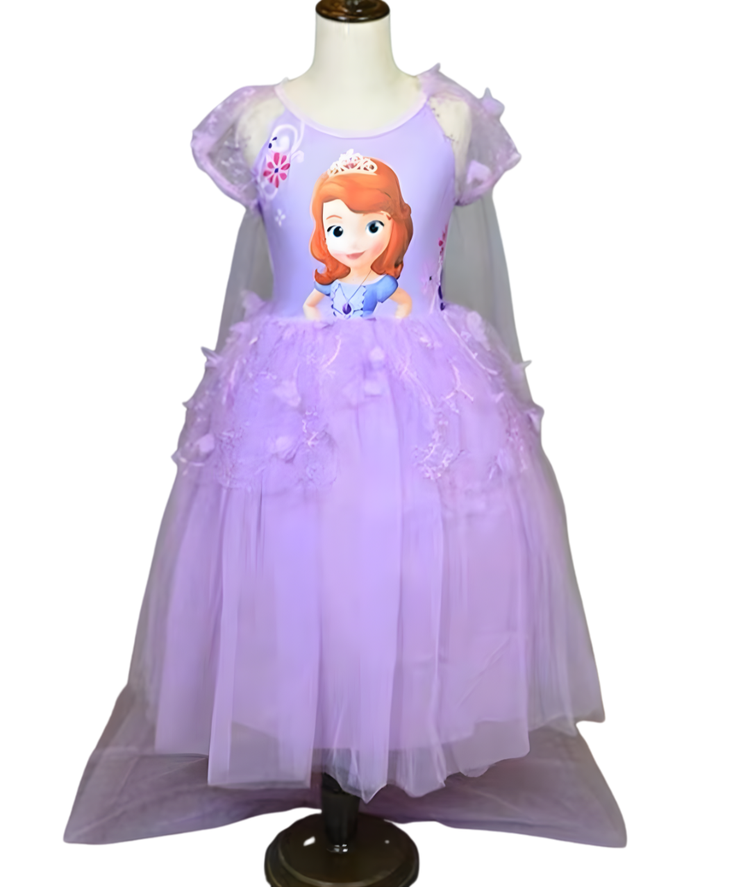 Disney Princess Sophie from Rapunzel Story for Girls Costume