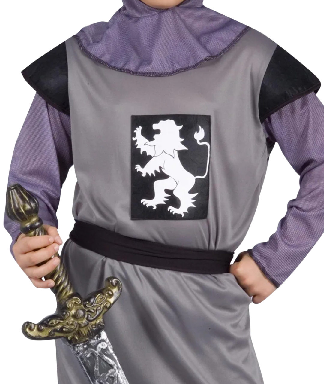 Medieval Royal Knight Boys Fancy Dress