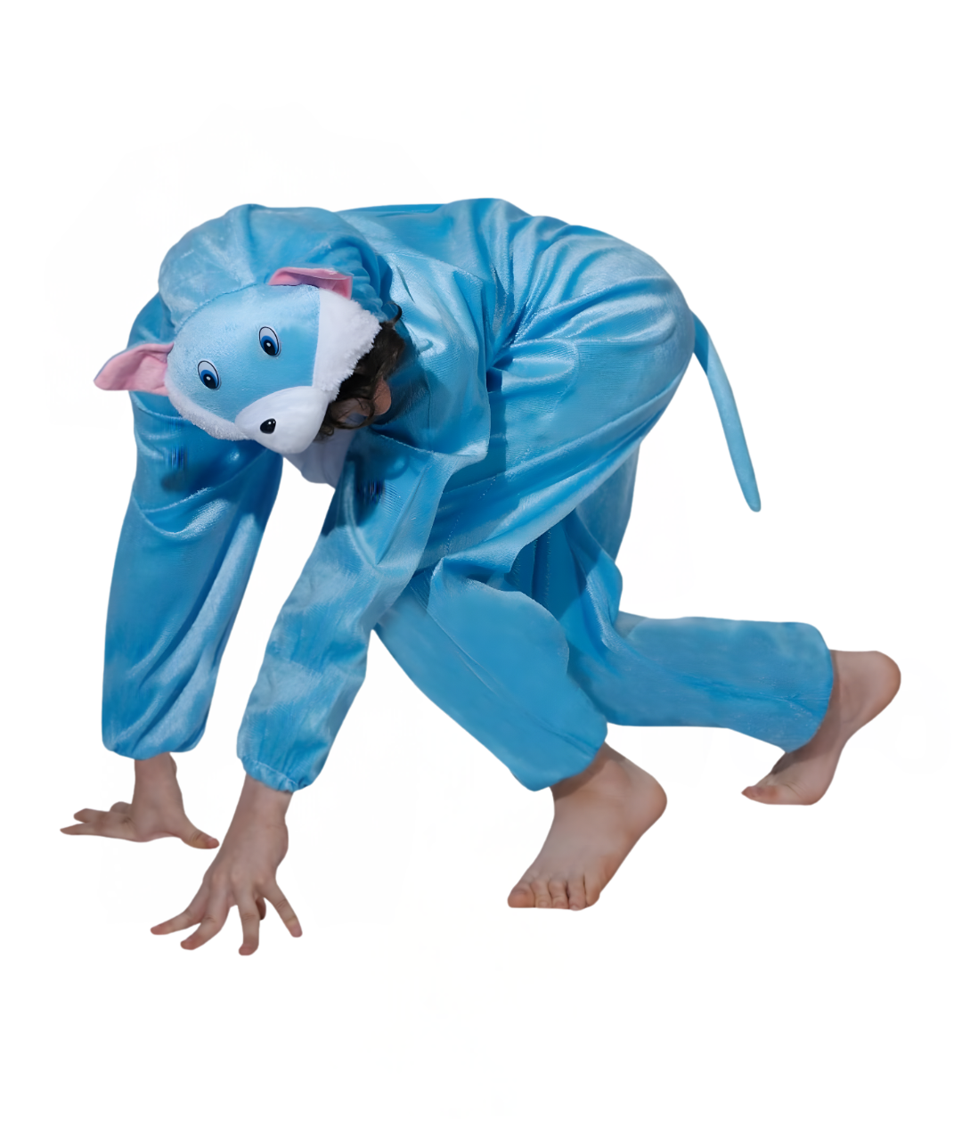 Cat Costume Blue Fancy Dress suit for kids