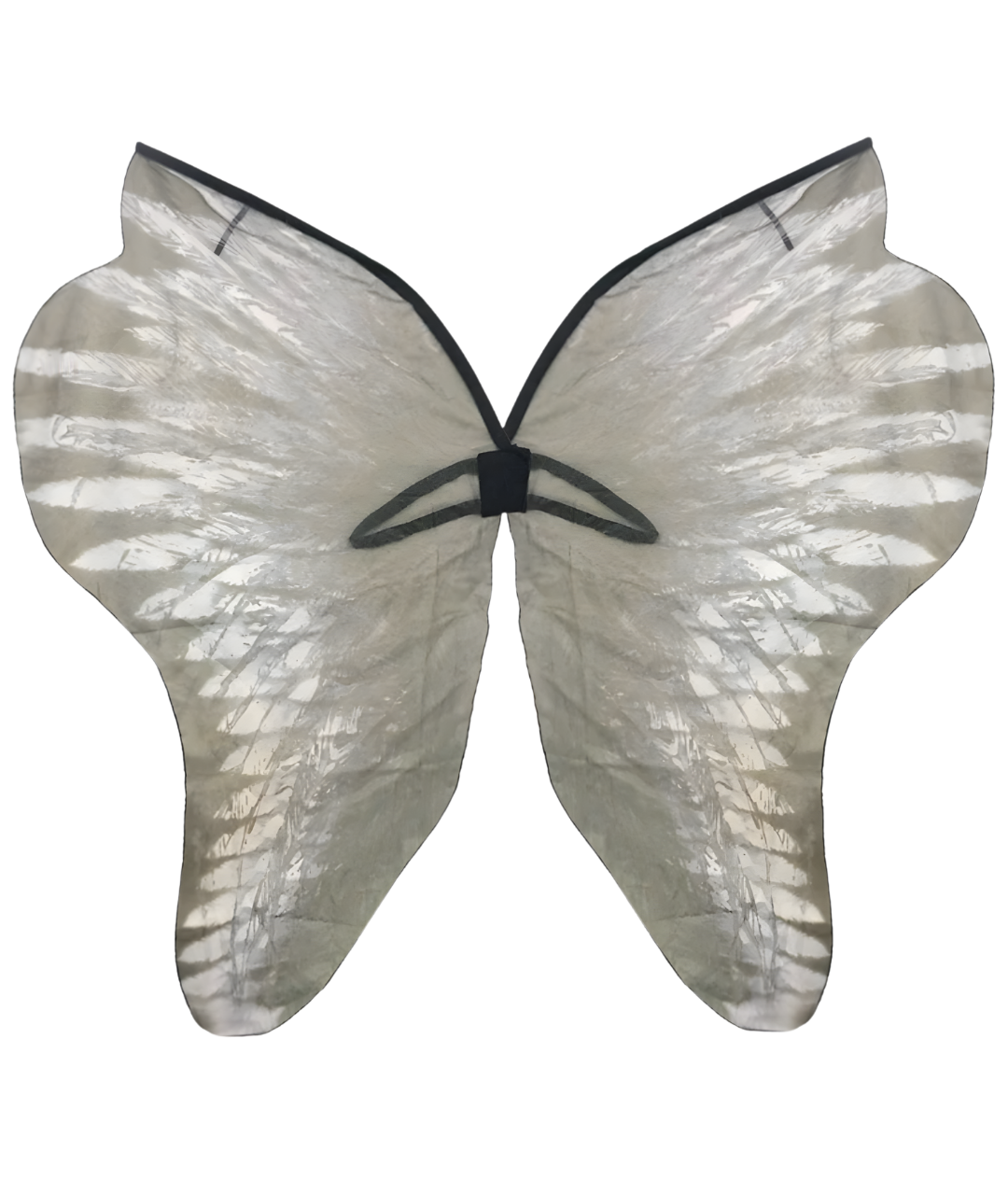 Butterfly Wings Fallen Angel Wings