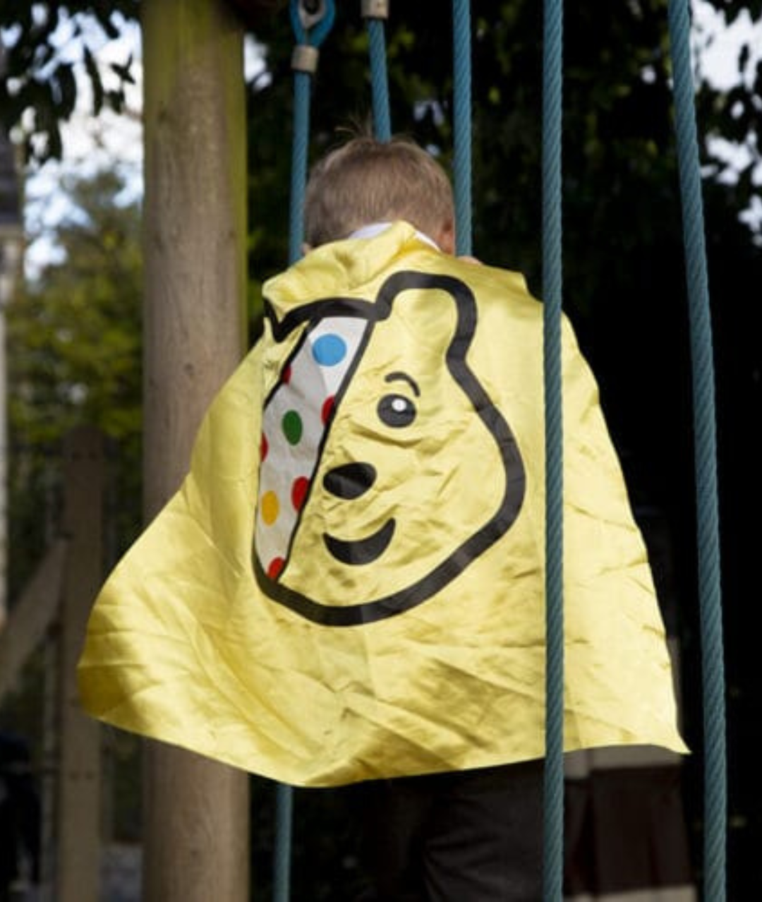 Children in need Pudsy bear cape and mask