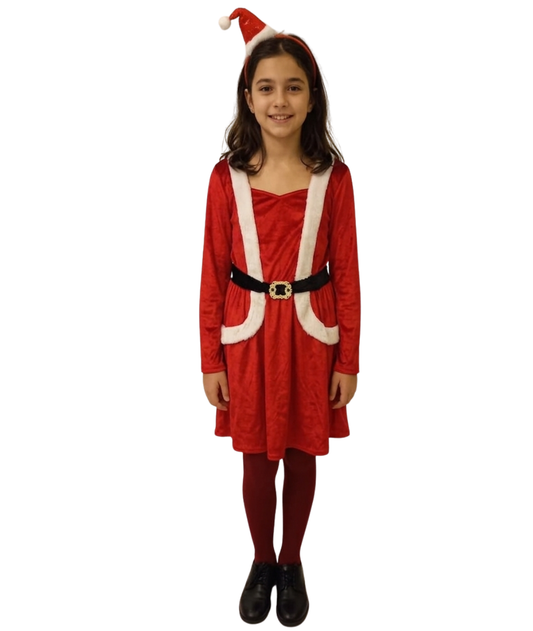 Girls Miss Santa Dress Costume