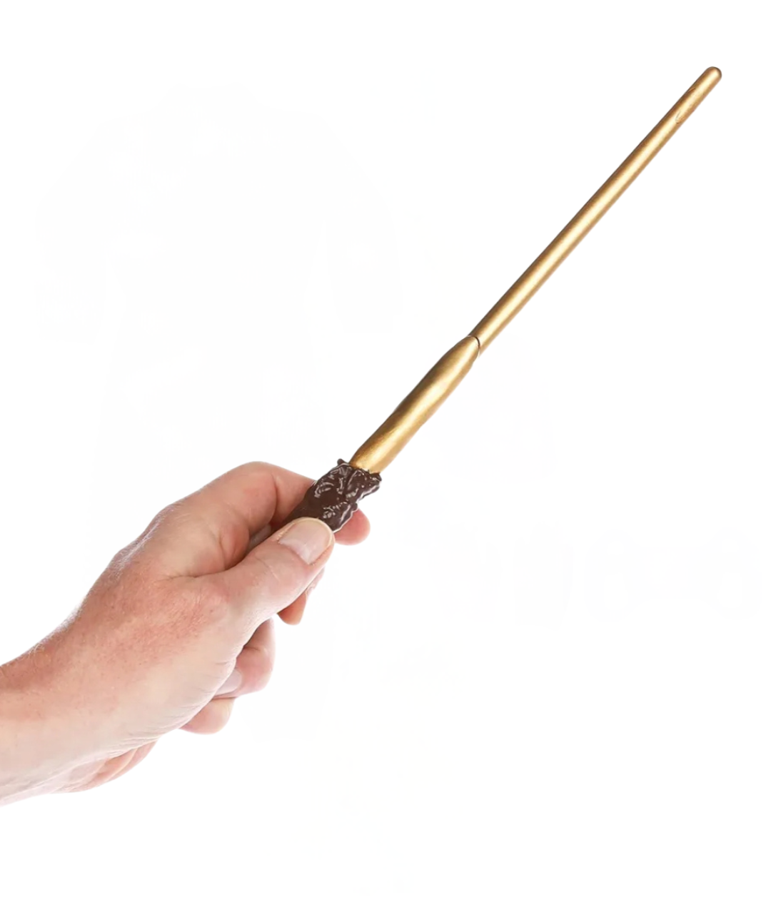 Wizard/ Witch / magician/ Harry Potter wand
