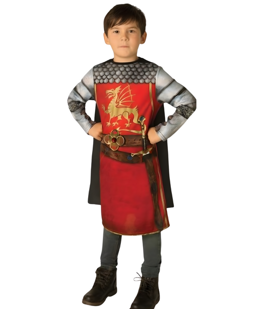 King / prince costume