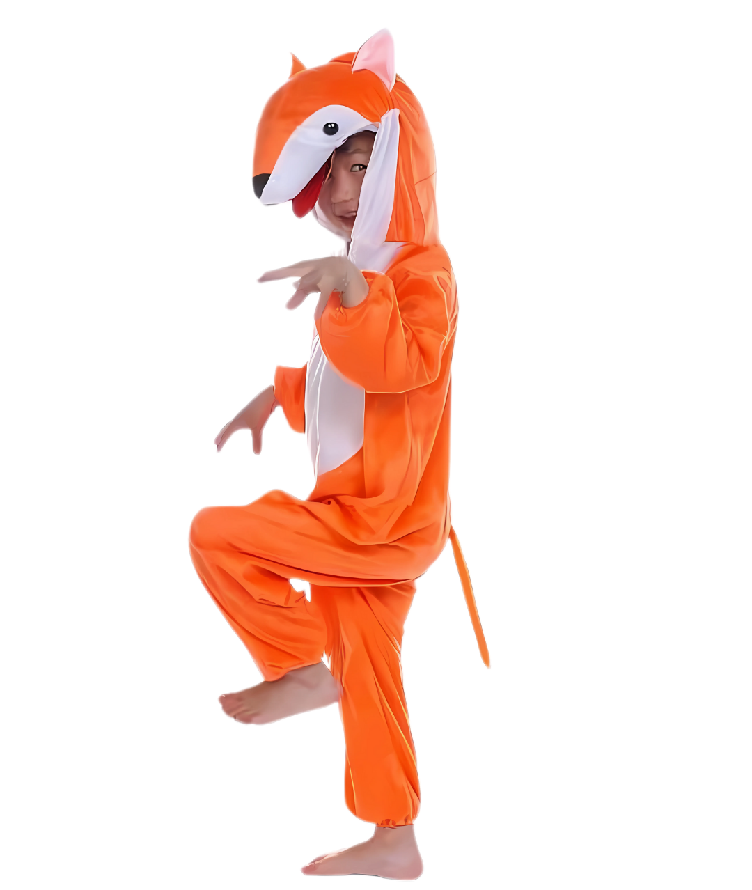 Friendly Fox Boys Girls Animals Costume